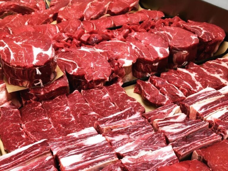 tarifa de carne bovina: China impõe tarifa de 55% sobre carne bovina do Brasil